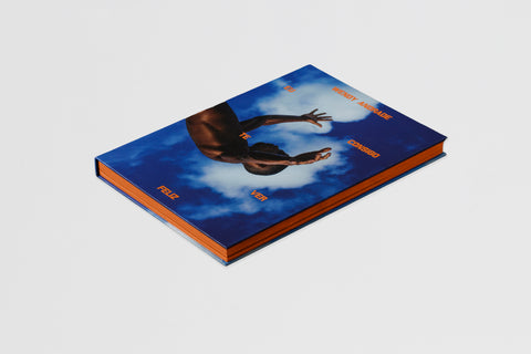 Capa do livro Wendy Andrade – Eu consigo te ver feliz