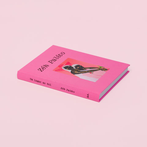 Capa do livro Zéh Palito – Um Lugar ao Sol