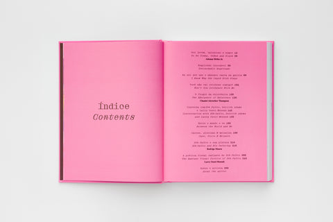 Índice do livro Zéh Palito – Um Lugar ao Sol