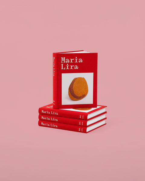 Maria Lira Marques – a artista do Vale do Jequitinhonha
