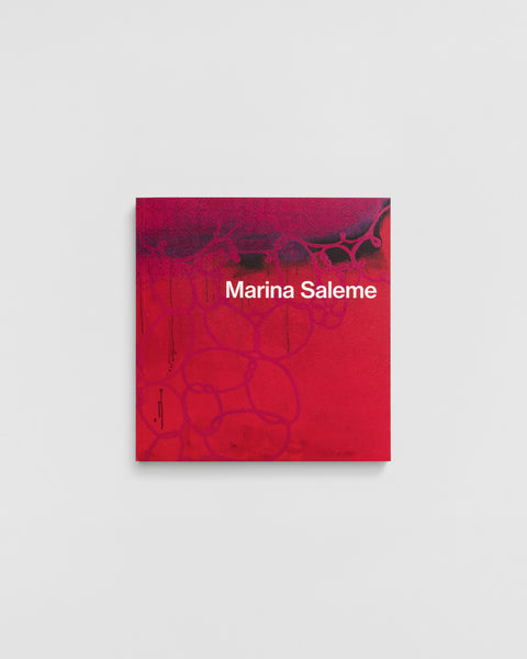 Marina Saleme — quarenta anos de pintura