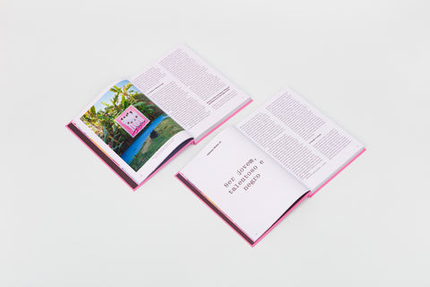 Livro Zéh Palito – Um Lugar ao Sol, páginas internas
