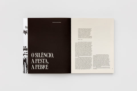 Texto de Bernado José de Souza no livro Vivian Caccuri Criatura som e seus espectros