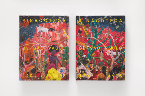 Frente e verso da capa do livro "Pinacoteca de São Paulo – 120 anos"