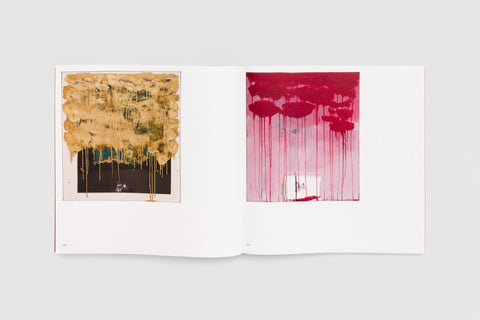 Livro Marina Saleme — spread 12 (detalhe b)